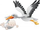 Avere un Figlio: Desiderio Legittimo 3