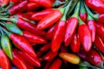 Il Peperoncino  pi Eccitante delle Ostriche 0