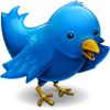 Pubblica un intero Romanzo su Twitter 2