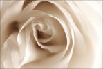 Bellezza: E`il Boom dei BioCosmetici 2