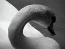 Bellezza: E`il Boom dei BioCosmetici 3