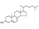 La Vitamina E Allunga la Vita delle Protesi 1