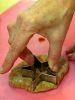 Dimagrire Mangiando: La Cookie Diet 3