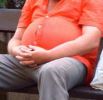 La Dieta Fisica contro l'Obesit 0