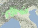 Internet: Lo Sviluppo delle Reti Parallele 1