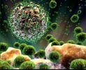 Ricerca: La Cellula che pu uccidere l'HIV 3