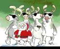 4 Renne Fuggono da Babbo Natale 3