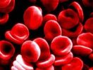 Scienza: Realizzato il Sangue Sintetico 0