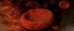Scienza: Realizzato il Sangue Sintetico 3