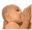 Se allatti Male  Colpa del Testosterone 0