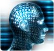 Ecco come e dove nasce l'Intelligenza 0