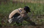 Italia: Il Peso Rilevante del Lavoro Straniero 1