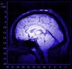 Cervello: 5 Minuti per Svegliarsi al Mattino 3