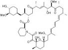 Il Rapamycin: Elisir di Lunga Vita 2